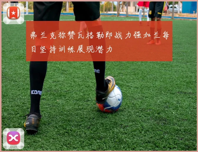 弗兰克称赞瓦格勒即战力强加兰每日坚持训练展现潜力