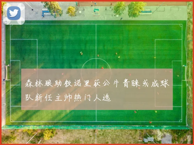森林狼助教诺里获公牛青睐或成球队新任主帅热门人选